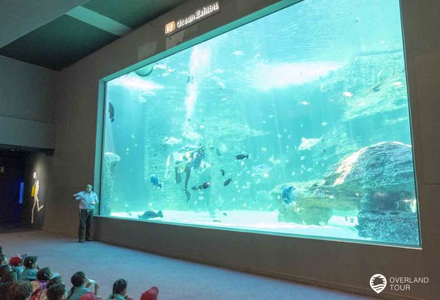 Das Two Oceans Aquarium in Kapstadt an der V&A Waterfront