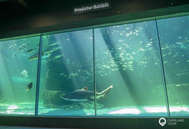 Das Two Oceans Aquarium in Kapstadt an der V&A Waterfront