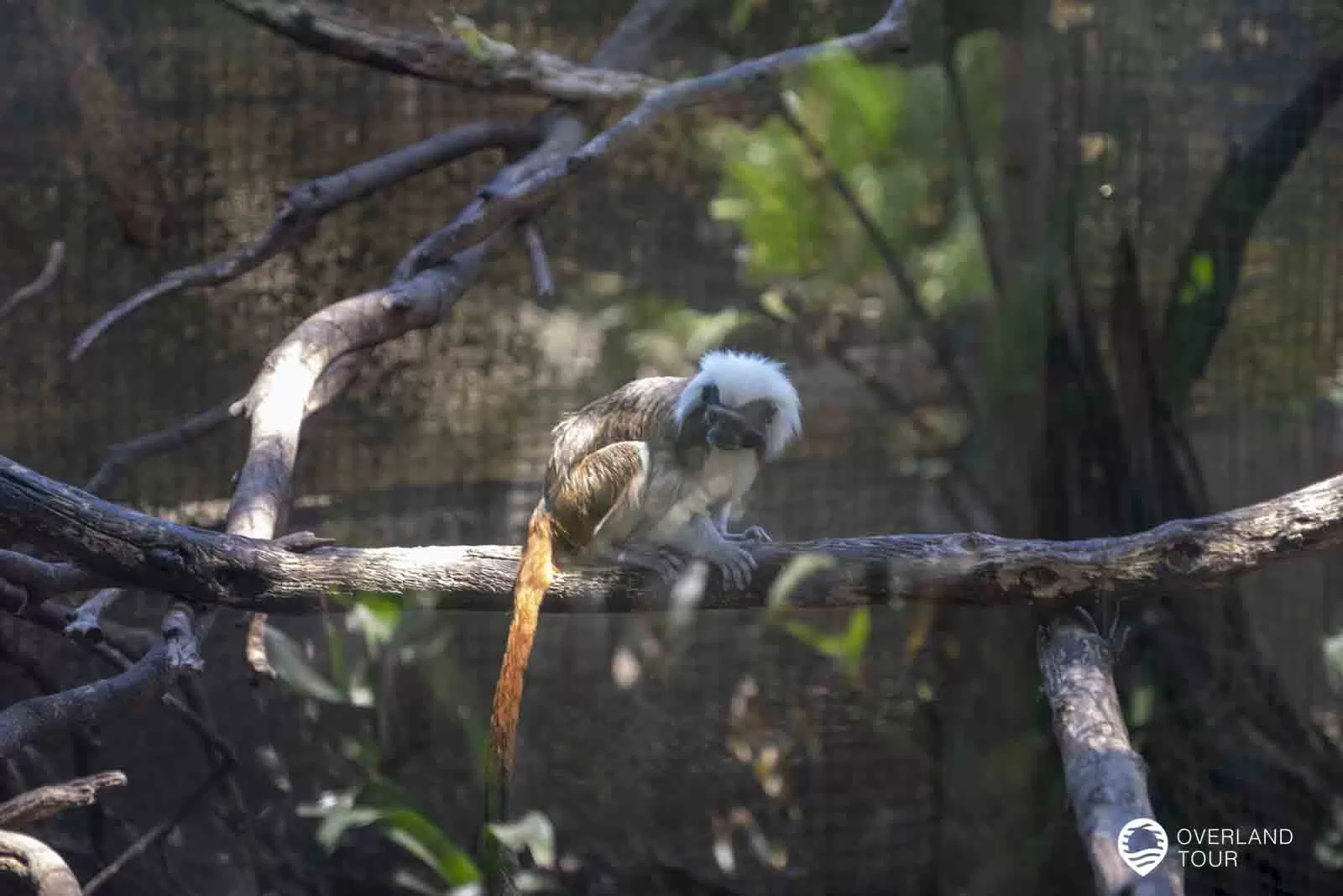 World of Birds - Das Vogelparadies in Hout Bay World of Birds - Das Vogelparadies in Hout Bay