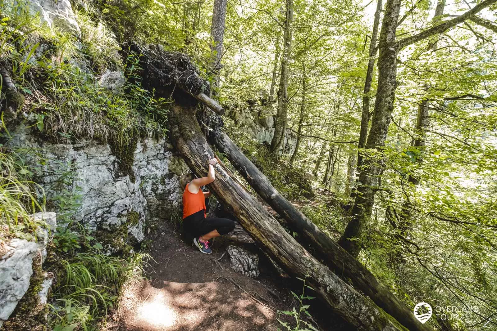 Wanderung zum legendären Naturpool am Königssee Auf dem Pfad durch den Wald zur Naturbadewanne
