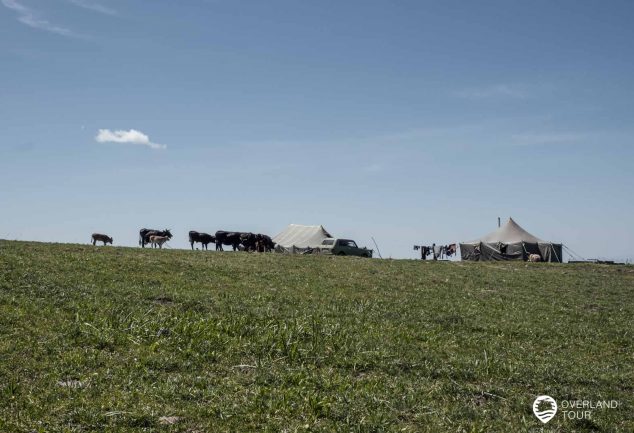 Geghama Lerrnashght'a: Wanderung zu den Petroglyphen – Tagesto