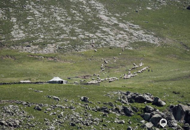 Geghama Lerrnashght'a: Wanderung zu den Petroglyphen – Tagesto