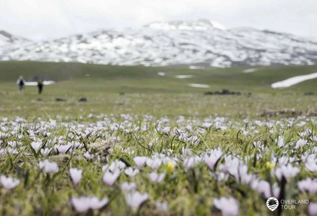 Geghama Lerrnashght'a: Wanderung zu den Petroglyphen – Tagesto