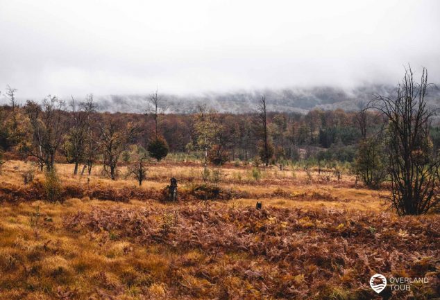 Saar-Hunsrück-Steig 10. Etappe: Börfink-Erbeskopf-Morbach