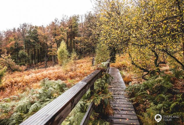 Saar-Hunsrück-Steig 10. Etappe: Börfink-Erbeskopf-Morbach