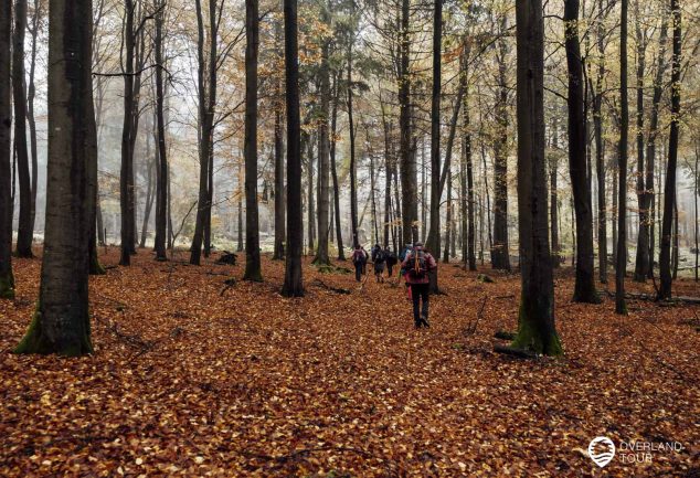 Saar-Hunsrück-Steig 10. Etappe: Börfink-Erbeskopf-Morbach