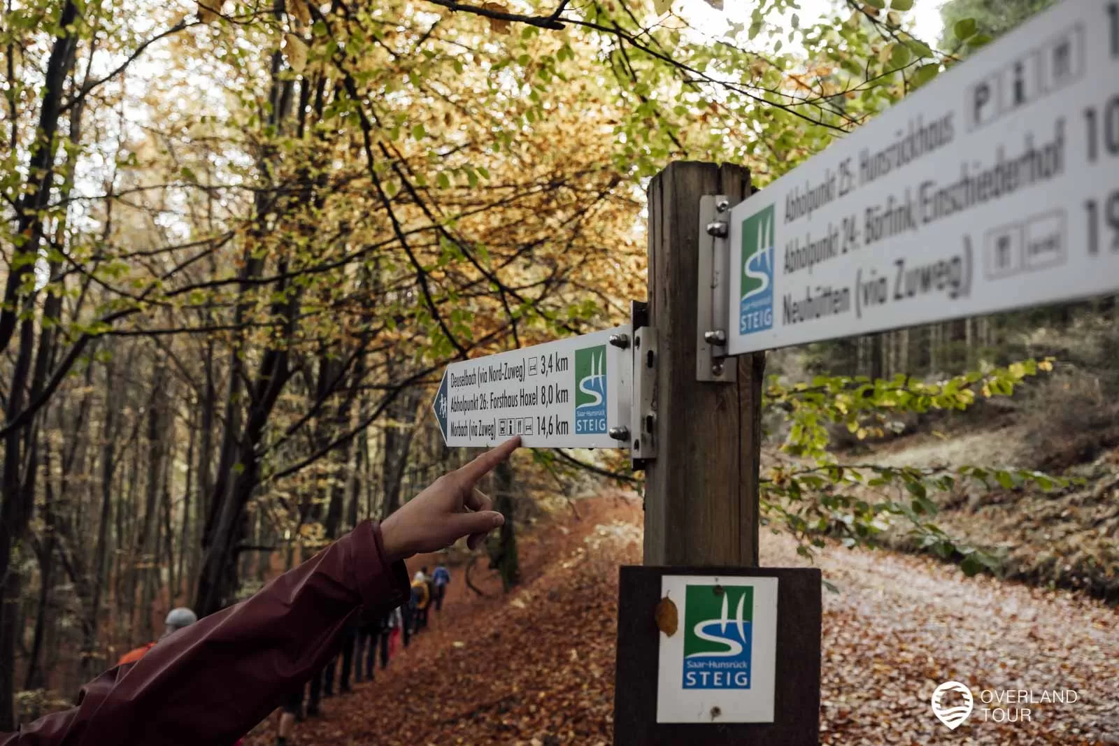 Saar-Hunsrück-Steig 10. Etappe: Börfink-Erbeskopf-Morbach Herbst-Wandern auf dem Saar-Hunsrück-Steig