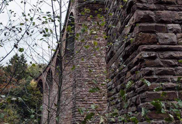 Saar-Hunsrück-Steig 10. Etappe: Börfink-Erbeskopf-Morbach