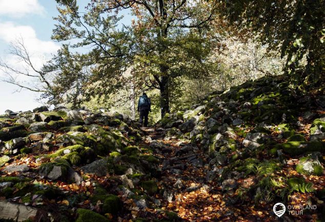 Beim Saar-Hunsrück-Steig in der Nähe von Otzenhausen