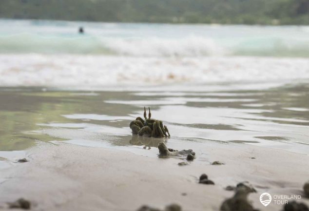 Seychellen: Mahé Sehenswürdigkeiten, Strände und Tipps