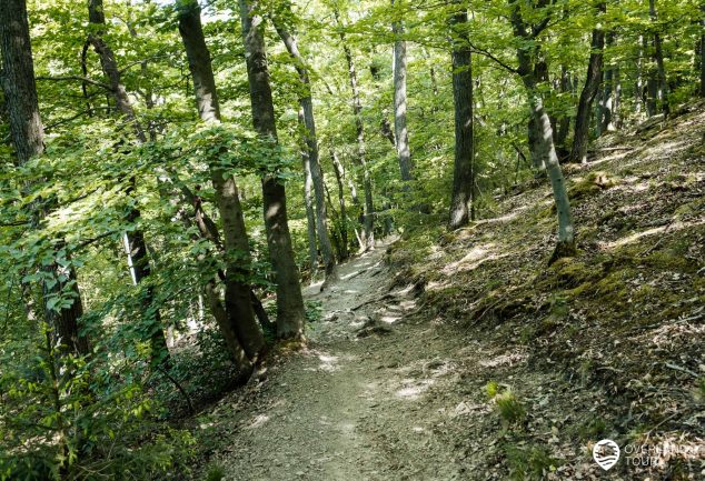 Traumschleife Elfenlay - Wandern bei Boppard