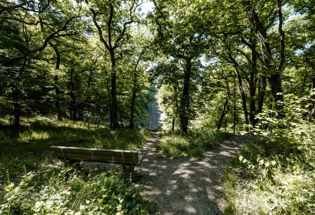 Traumschleife Elfenlay - Wandern bei Boppard