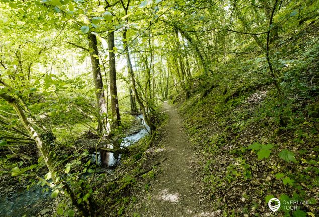 Traumschleife Elfenlay - Wandern bei Boppard