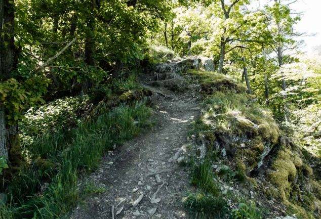 Rheinburgenweg - Traumschleife Rheingold