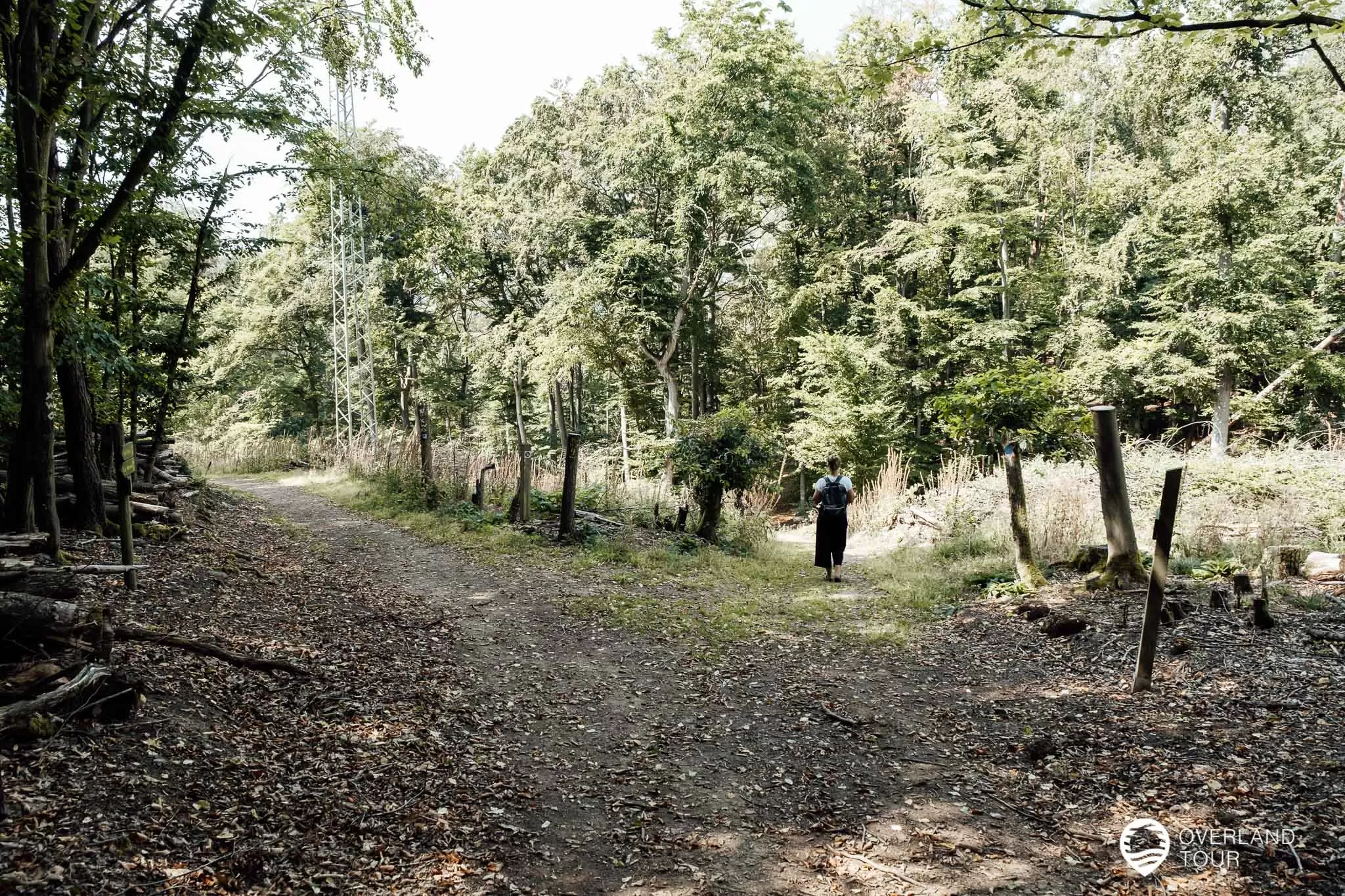Der Edersee – Ausflugtipps und Sehenswürdigkeiten Links kommt man von der „Uhrenkopf-Kanzel“ und rechts geht es runter zum Busparkplatz hinter dem Hotel. Die linke Variante ist die Schönere