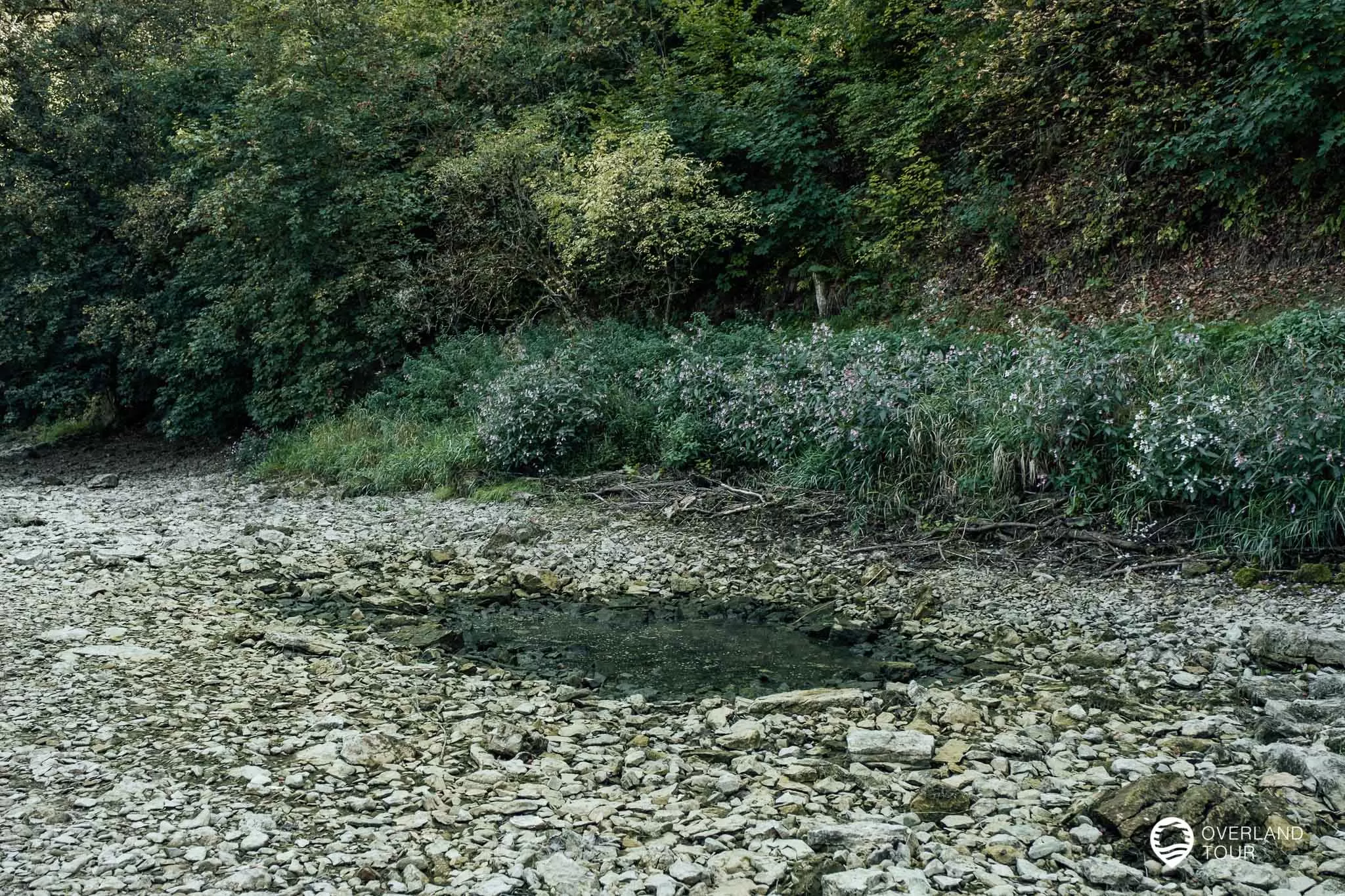Eine der verschiedenen Versickerungsstellen in der Donau