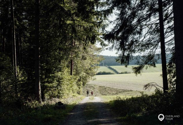 DonauWelle Donauversinkung – Wandern im Donaubergland