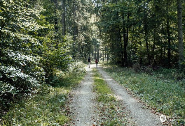 DonauWelle Donauversinkung – Wandern im Donaubergland