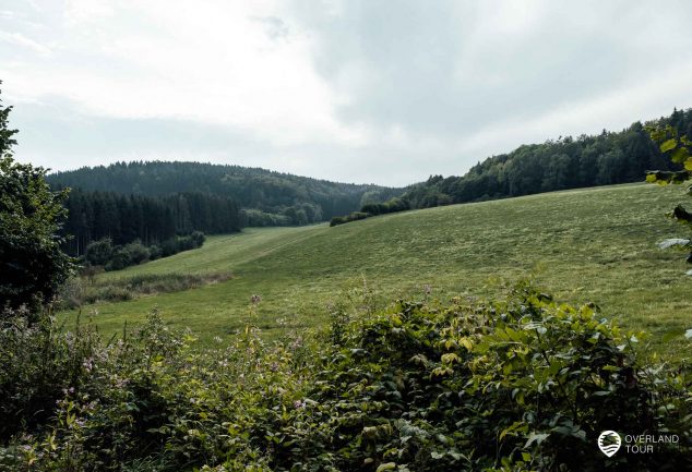 DonauWelle Donauversinkung – Wandern im Donaubergland