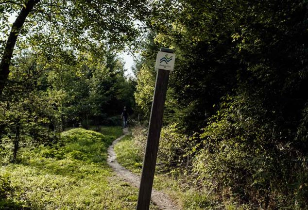 DonauWelle Donauversinkung – Wandern im Donaubergland