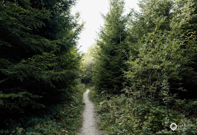 DonauWelle Donauversinkung – Wandern im Donaubergland