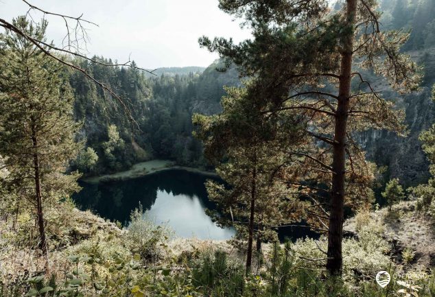 DonauWelle Donauversinkung – Wandern im Donaubergland