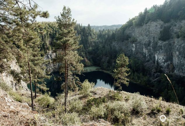 DonauWelle Donauversinkung – Wandern im Donaubergland