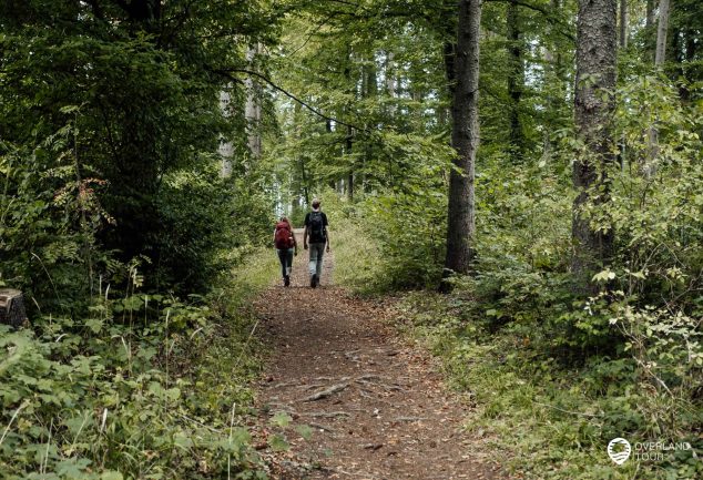 DonauWelle Donauversinkung – Wandern im Donaubergland