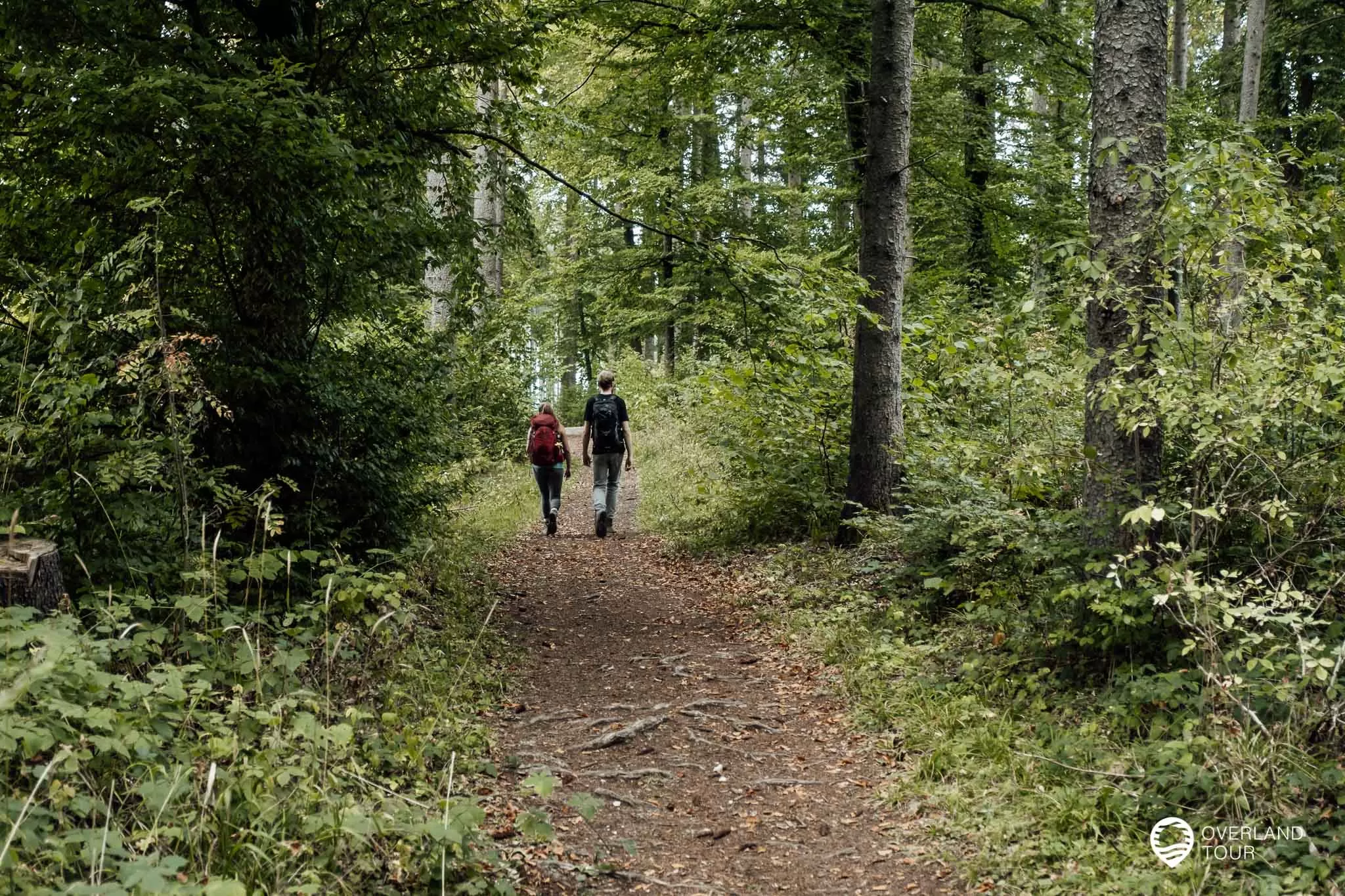 Die Wege sind perfekt für eine Wanderung