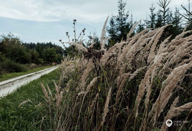 DonauWelle Donauversinkung – Wandern im Donaubergland