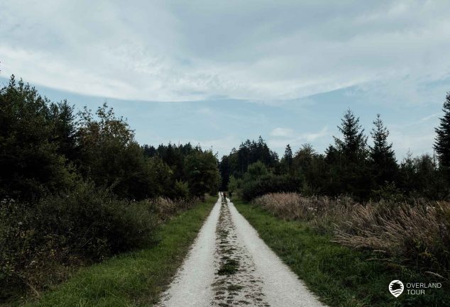 DonauWelle Donauversinkung – Wandern im Donaubergland