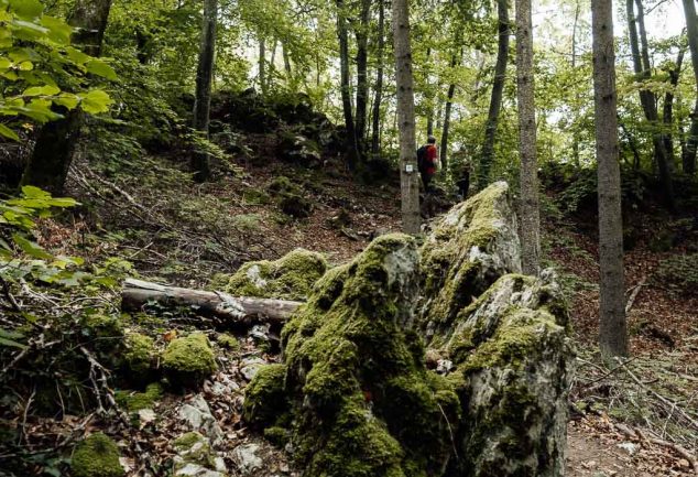 Wandern: DonauWelle Eichfelsen-Panorama – Donaubergland Wanderung