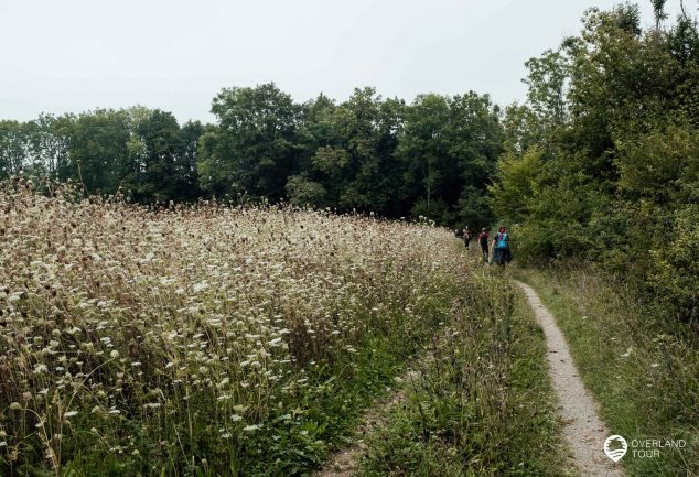 Wandern: DonauWelle Eichfelsen-Panorama – Donaubergland Wanderung