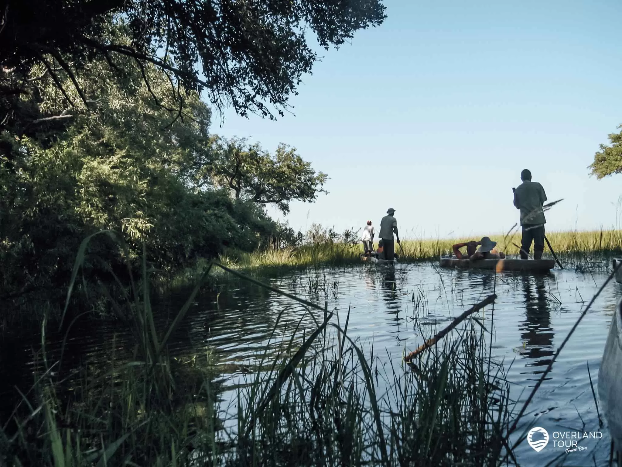 Camping Safari Südafrika: Tour Kapstadt – Victoria Falls Mit den Mokoros unterwgs im Okavango Delta