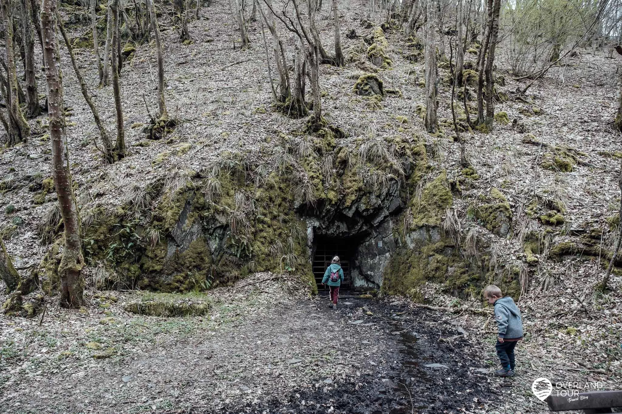 Traumschleife Baybachklamm: Das Fledermausquartier am Baybach