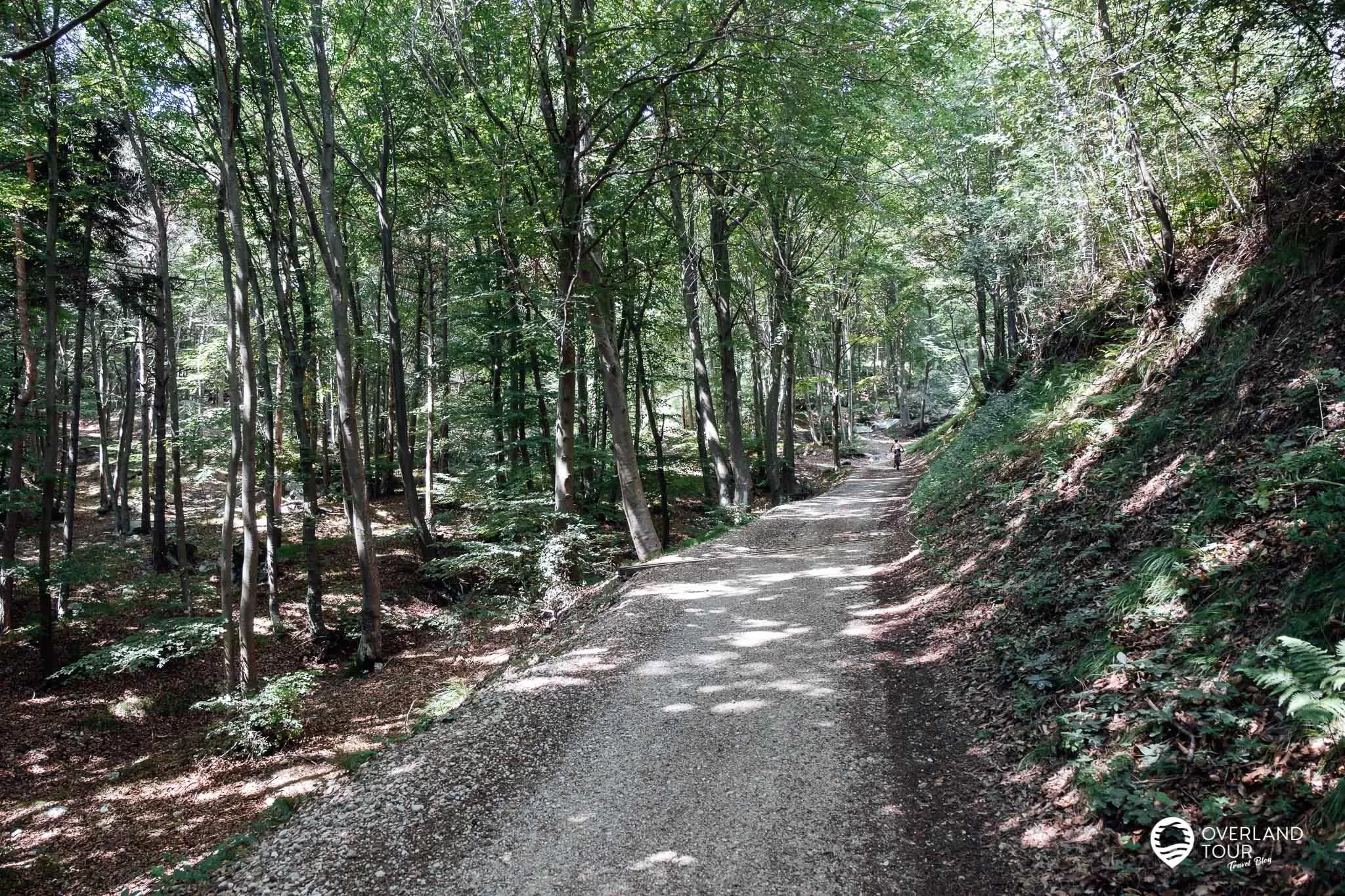Wanderung Punta Larici ab Pregasina (Wandern bei Riva del Garda) Der Wanderweg 422B verläuft größtenteils auf solchen Forststraßen
