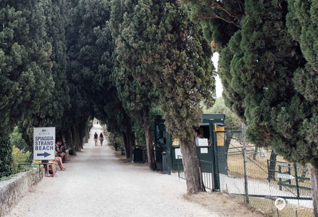 Bardolino Sehenswürdigkeiten am Gardasee