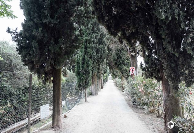 Die Sehenswürdigkeiten von Bardolino & Garda am Gardasee