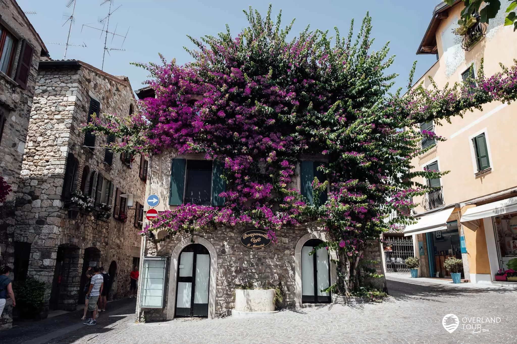 Das fotogene Bougainvillea-Haus Bougainvillea – Der Farbenfrohefarbtupfer in der Altstadt
