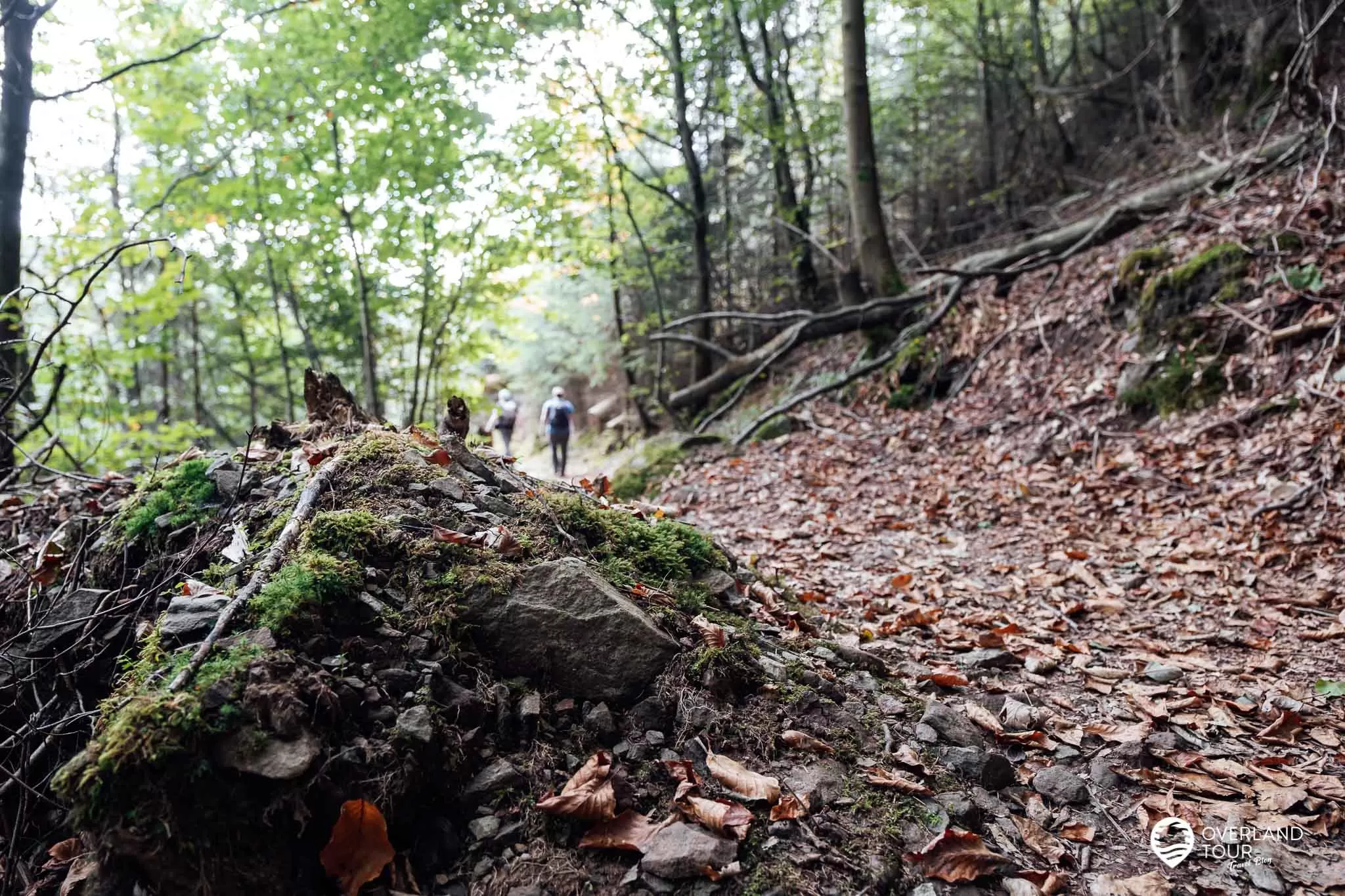 Wandern im Höllental Frankenwald - Felsenpfad & Röhrensteig die perfekte Tour: Der Felsenpfad Frankenwald - US14