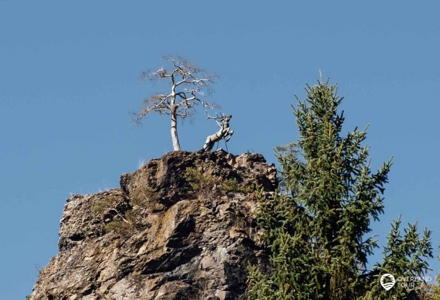 Wandern im Höllental Frankenwald - Felsenpfad & Röhrensteig die perfekte Tour
