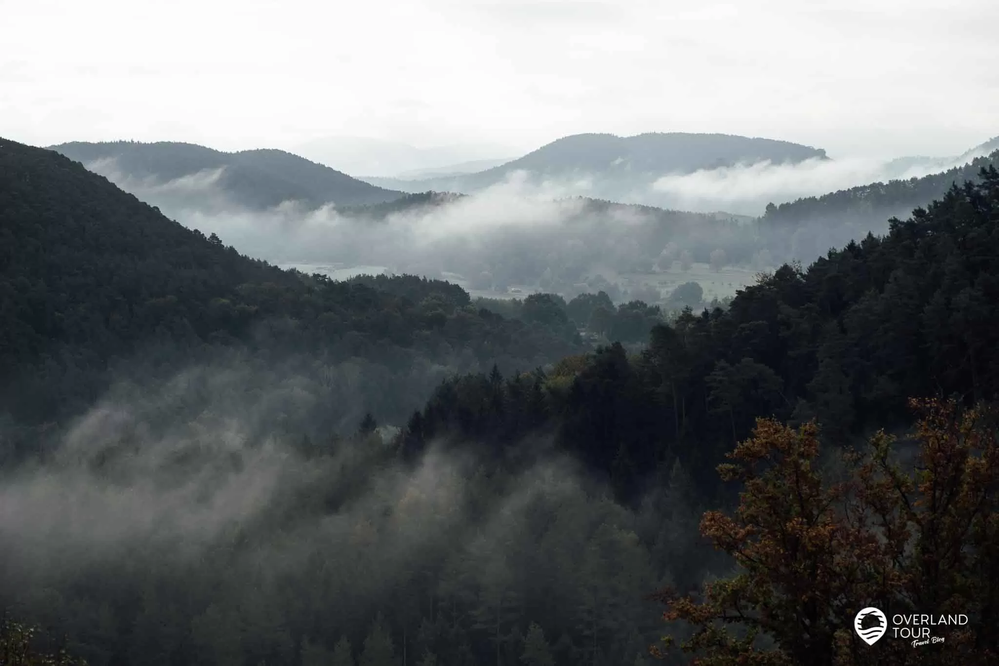 Im Pfälzerwald wandern – Der Pfälzer Waldpfad – Etappe 8 Pfälzer Waldpfad Etappe 8: Einfach nur traumhaft der morgendliche Herbstnebel über dem Pfälzer Wald