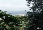 Pfälzer Weinsteig: Das Hambacher Schloss vom Weinsteig aus nochmals gesehen