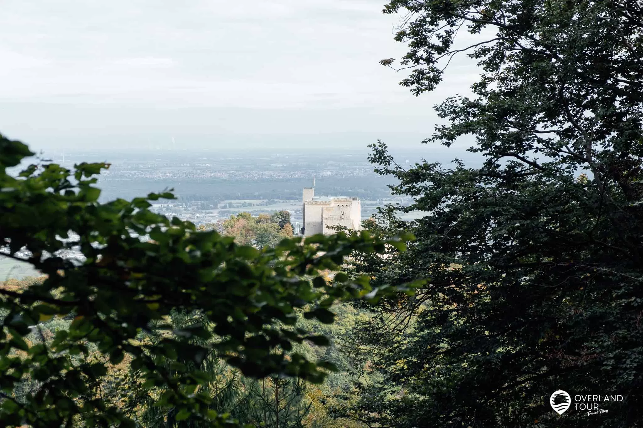 Pfälzer Weinsteig: Das Hambacher Schloss vom Weinsteig aus nochmals gesehen