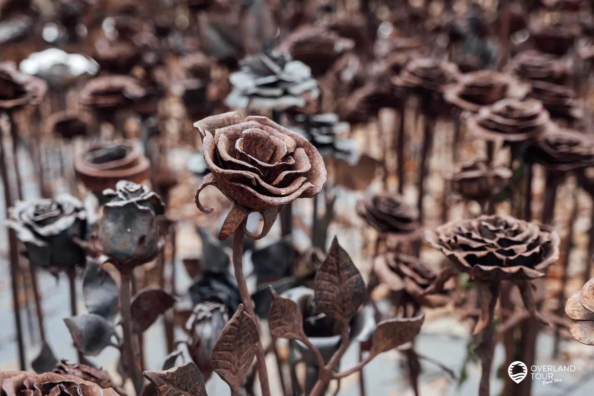 Oslo Sehenswürdigkeiten – Auf Landgang 4 Stunden zu Fuß durch Oslo Oslo Sehenswürdigkeiten: Das Mahnmal "Jernrosene" (The Iron Roses) vor dem Osloer Dom