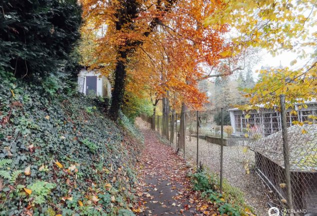 Traumschleife Marienberg - Wandern ab Boppard