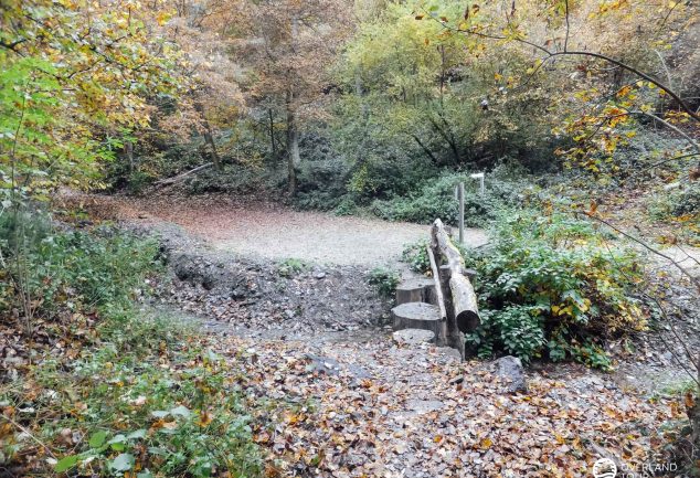 Traumschleife Marienberg - Wandern ab Boppard