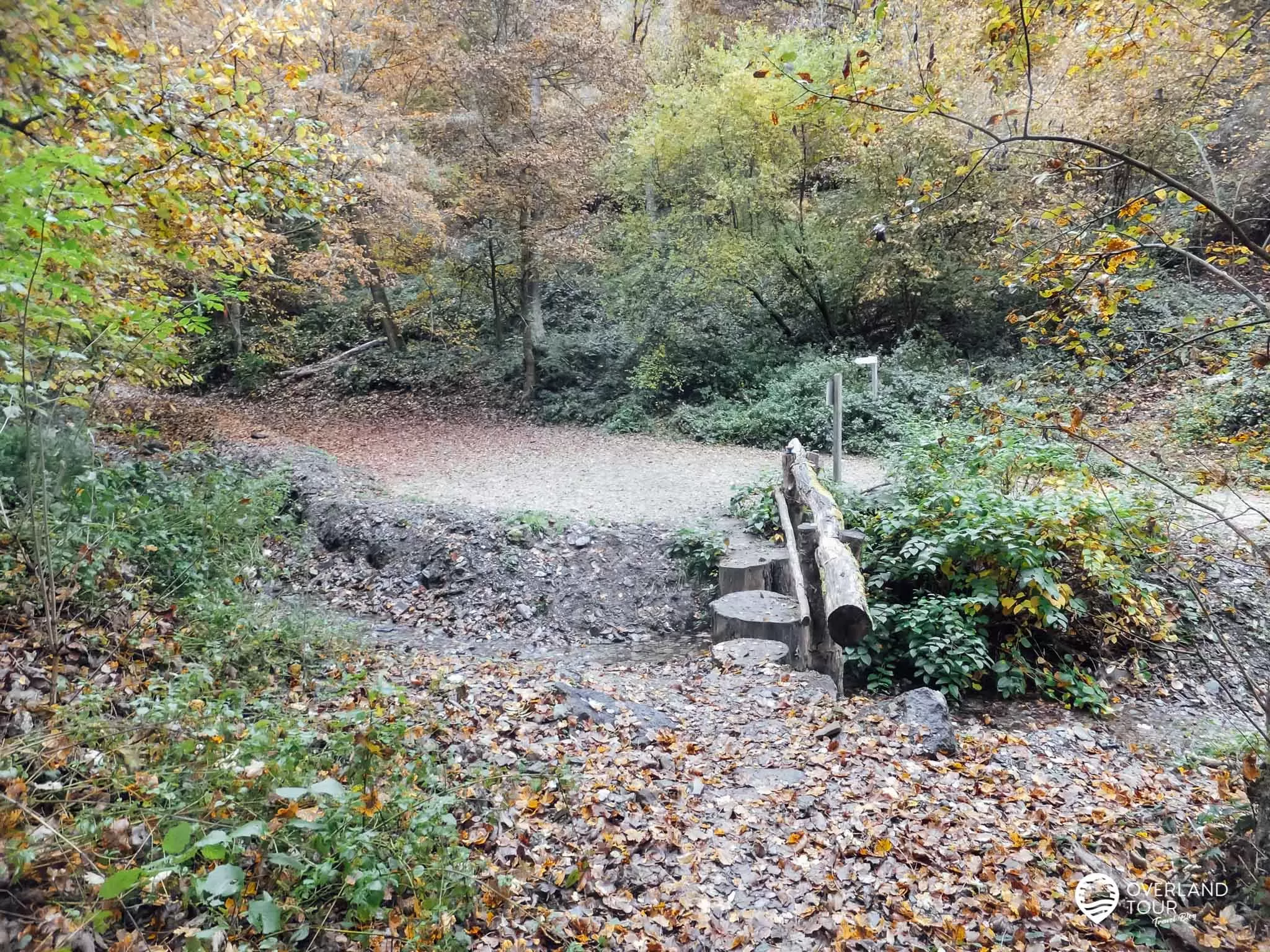 Traumschleife Marienberg - Wandern ab Boppard Traumschleife Marienberg: Der Start ins Bruder-Michel-Tal beginnt mit der Überquerung des gleichnamigen Baches