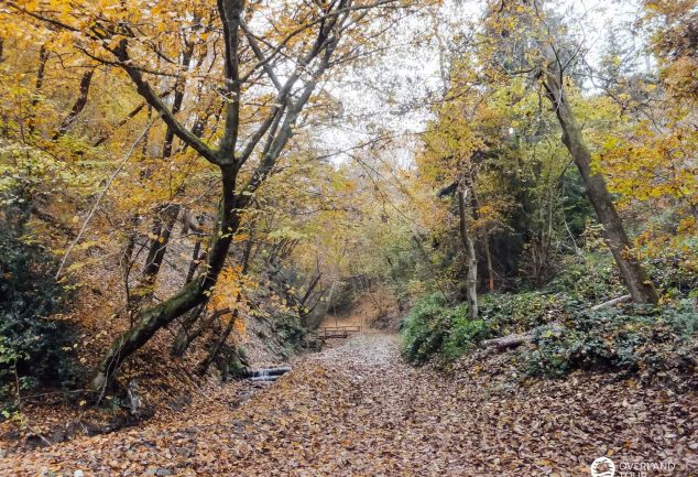 Traumschleife Marienberg - Wandern ab Boppard