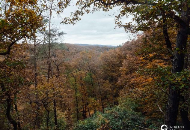 Traumschleife Marienberg - Wandern ab Boppard